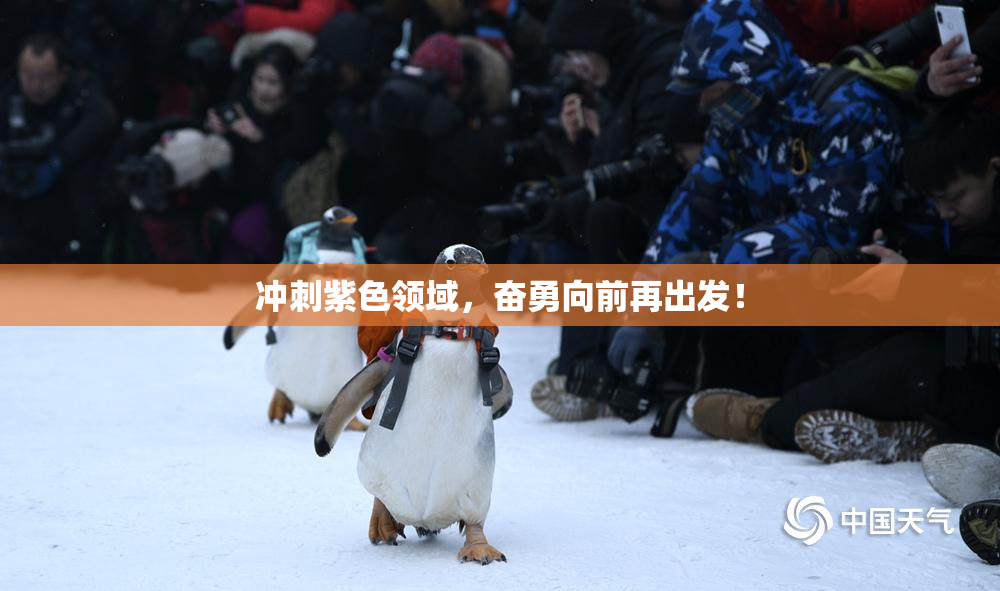 冲刺紫色领域，奋勇向前再出发！