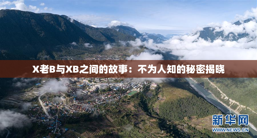 X老B与XB之间的故事：不为人知的秘密揭晓