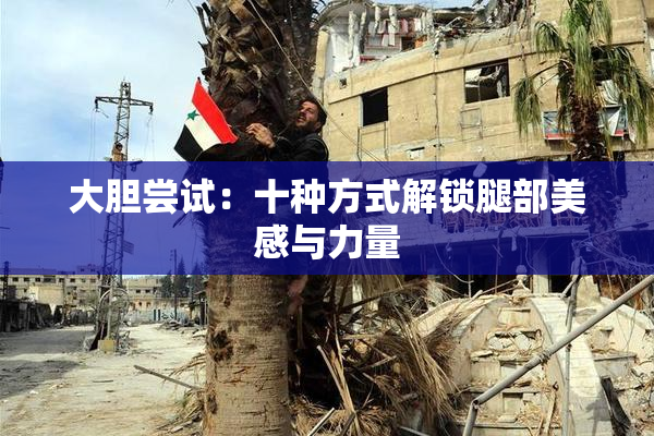 大胆尝试：十种方式解锁腿部美感与力量