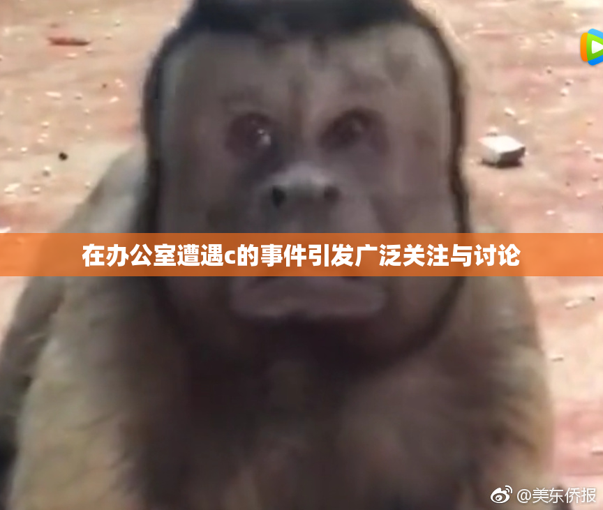 在办公室遭遇c的事件引发广泛关注与讨论