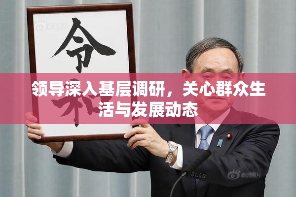 领导深入基层调研，关心群众生活与发展动态
