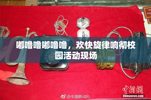 嘟噜噜嘟噜噜，欢快旋律响彻校园活动现场