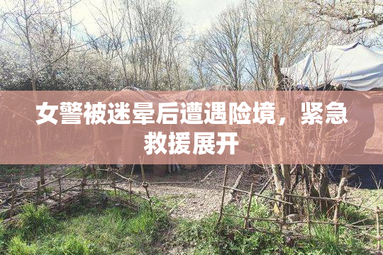 女警被迷晕后遭遇险境，紧急救援展开