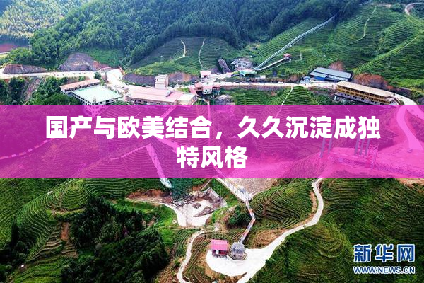 国产与欧美结合，久久沉淀成独特风格