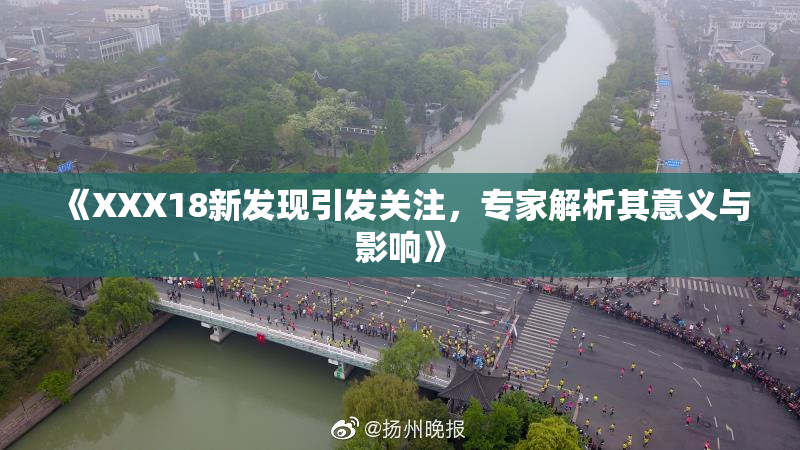 《XXX18新发现引发关注，专家解析其意义与影响》