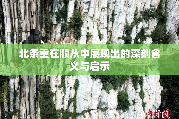 北条重在顺从中展现出的深刻含义与启示