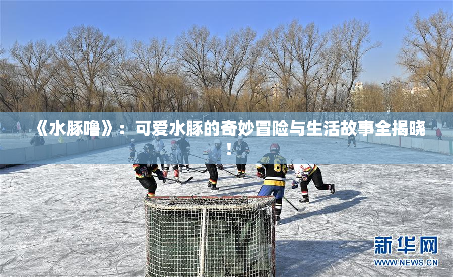 《水豚噜》：可爱水豚的奇妙冒险与生活故事全揭晓！