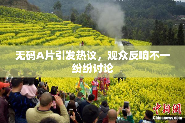 无码A片引发热议，观众反响不一纷纷讨论