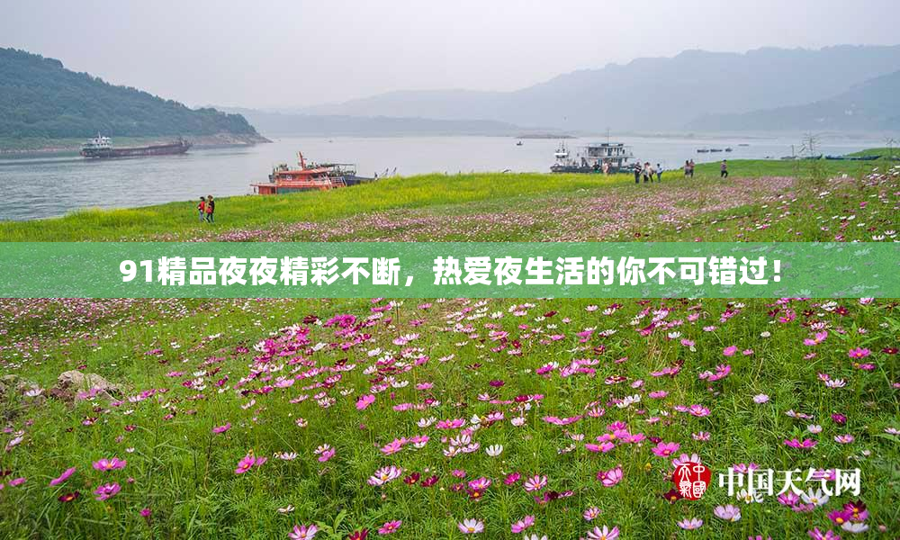 91精品夜夜精彩不断，热爱夜生活的你不可错过！