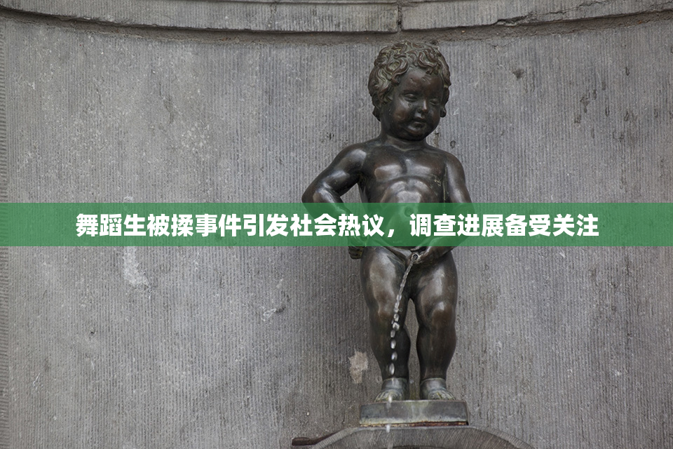 舞蹈生被揉事件引发社会热议，调查进展备受关注