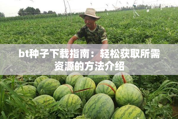 bt种子下载指南：轻松获取所需资源的方法介绍
