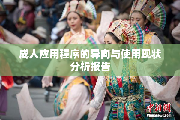 成人应用程序的导向与使用现状分析报告