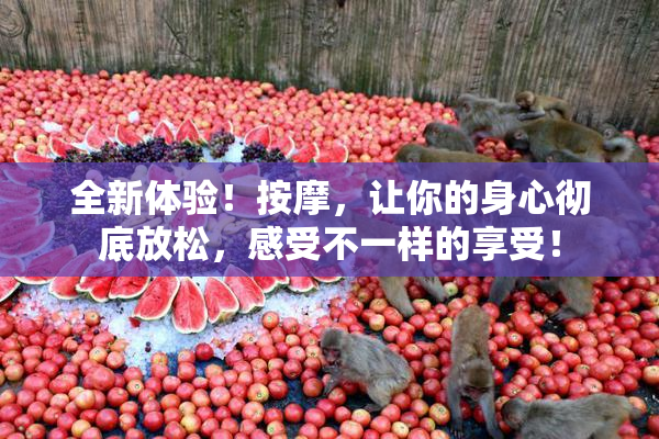 全新体验！按摩，让你的身心彻底放松，感受不一样的享受！