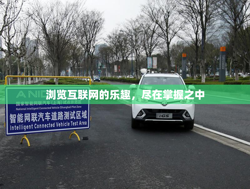 浏览互联网的乐趣，尽在掌握之中