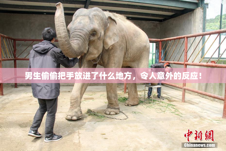 男生偷偷把手放进了什么地方，令人意外的反应！