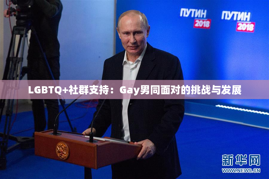 LGBTQ+社群支持：Gay男同面对的挑战与发展