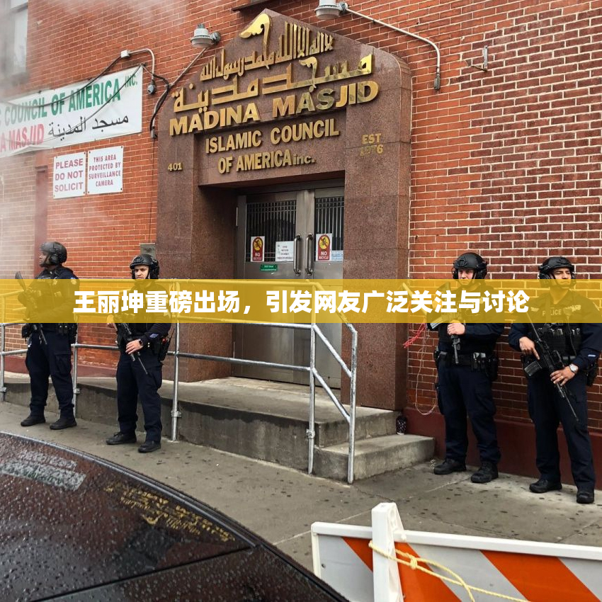 王丽坤重磅出场，引发网友广泛关注与讨论