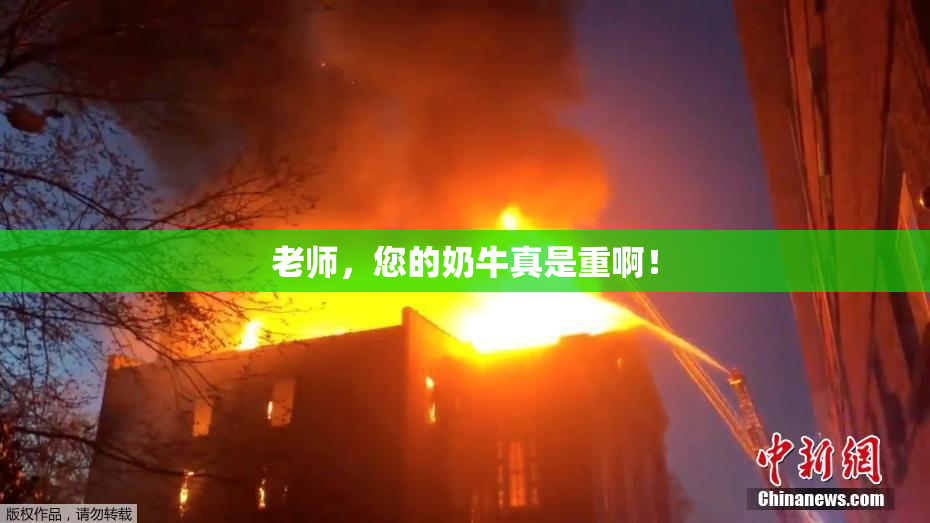 老师，您的奶牛真是重啊！