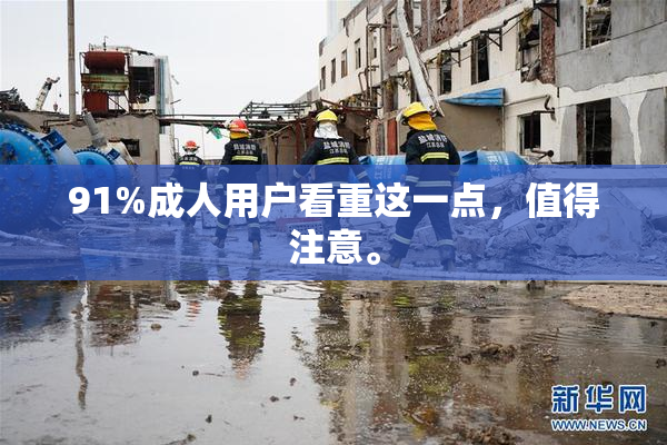 91%成人用户看重这一点，值得注意。