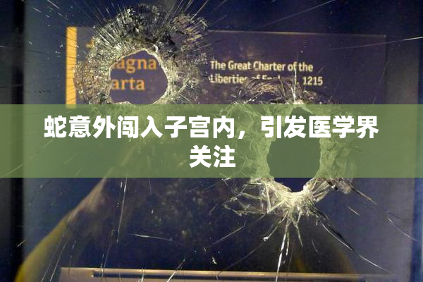 蛇意外闯入子宫内，引发医学界关注