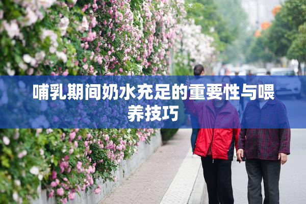 哺乳期间奶水充足的重要性与喂养技巧