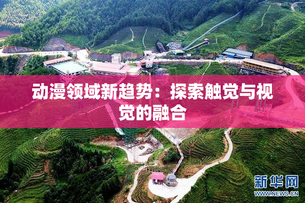 动漫领域新趋势：探索触觉与视觉的融合