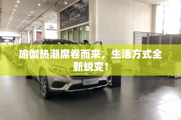 瑜伽热潮席卷而来，生活方式全新蜕变！