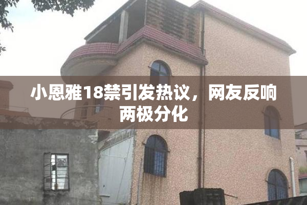 小恩雅18禁引发热议，网友反响两极分化