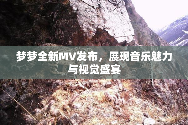 梦梦全新MV发布，展现音乐魅力与视觉盛宴