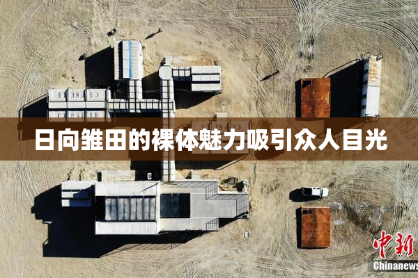 日向雏田的裸体魅力吸引众人目光