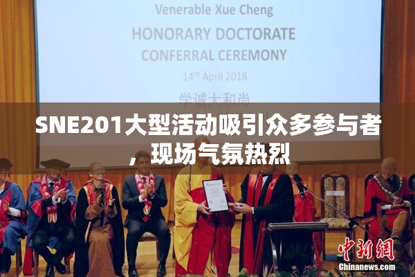 SNE201大型活动吸引众多参与者，现场气氛热烈