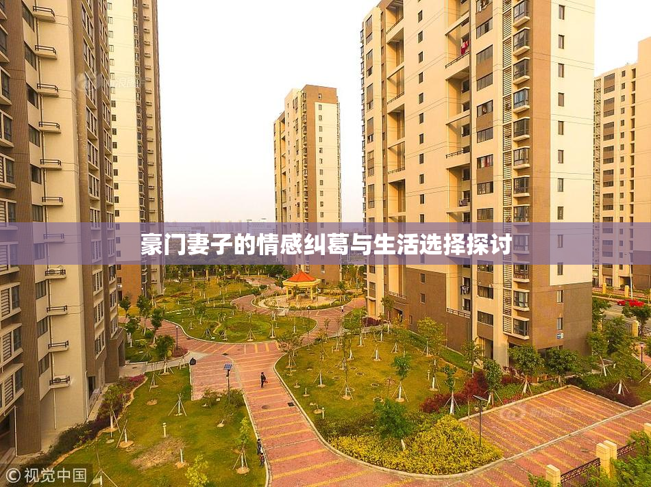 豪门妻子的情感纠葛与生活选择探讨