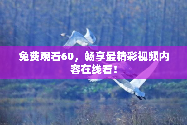免费观看60，畅享最精彩视频内容在线看！