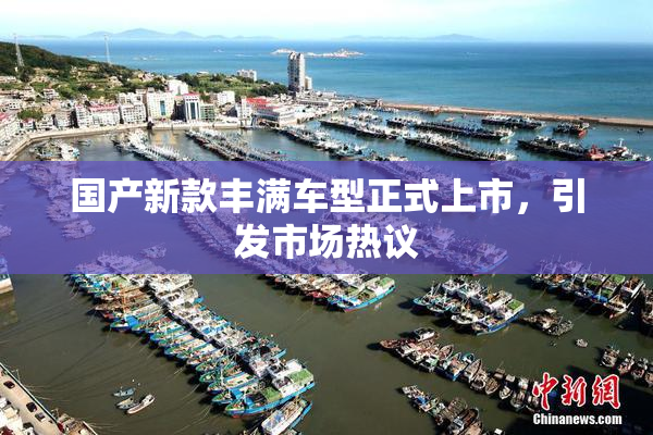 国产新款丰满车型正式上市，引发市场热议