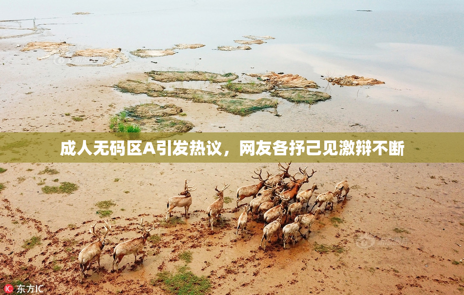 成人无码区A引发热议，网友各抒己见激辩不断