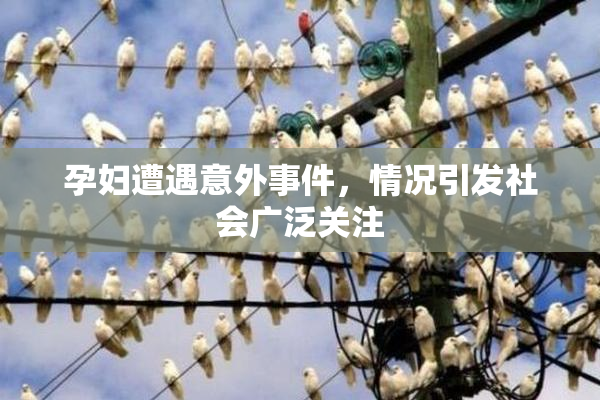 孕妇遭遇意外事件，情况引发社会广泛关注