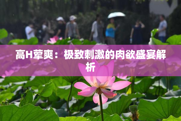高H荤爽：极致刺激的肉欲盛宴解析