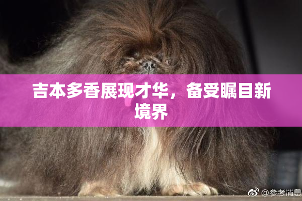 吉本多香展现才华，备受瞩目新境界