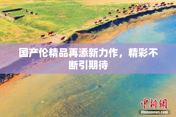 国产伦精品再添新力作，精彩不断引期待