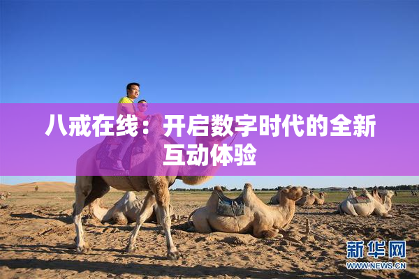 八戒在线：开启数字时代的全新互动体验