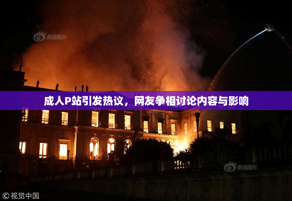 成人P站引发热议，网友争相讨论内容与影响