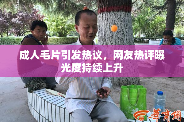 成人毛片引发热议，网友热评曝光度持续上升
