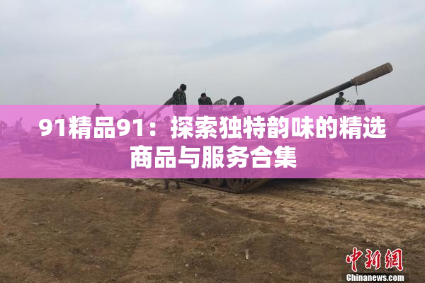 91精品91：探索独特韵味的精选商品与服务合集