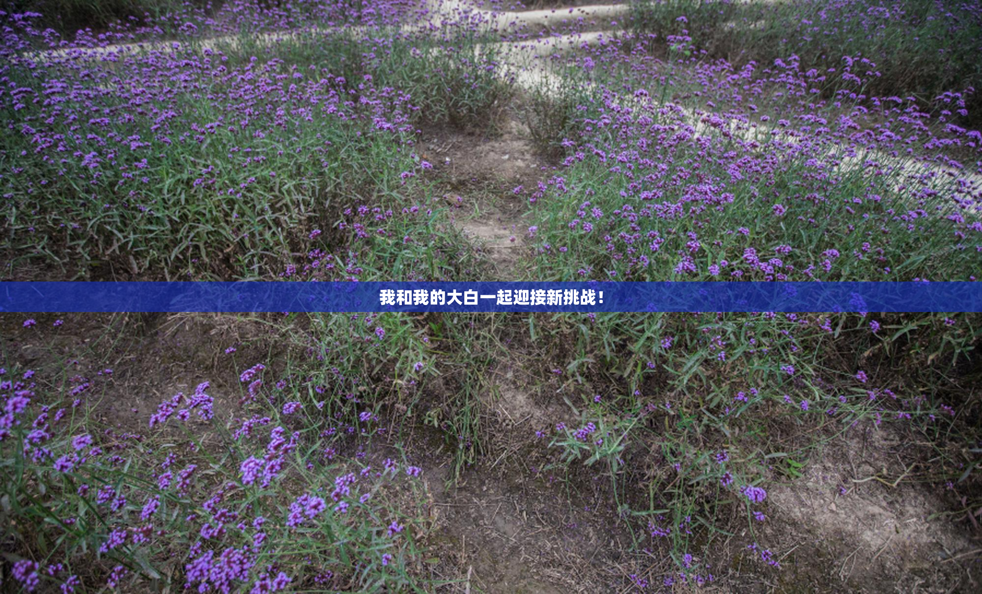 我和我的大白一起迎接新挑战！