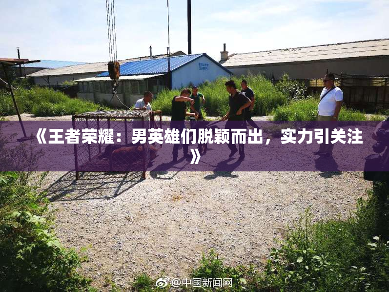 《王者荣耀：男英雄们脱颖而出，实力引关注》