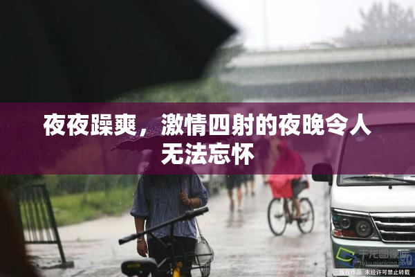 夜夜躁爽，激情四射的夜晚令人无法忘怀