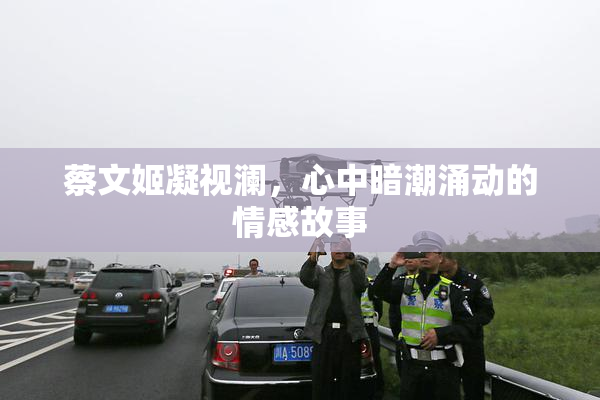 蔡文姬凝视澜，心中暗潮涌动的情感故事