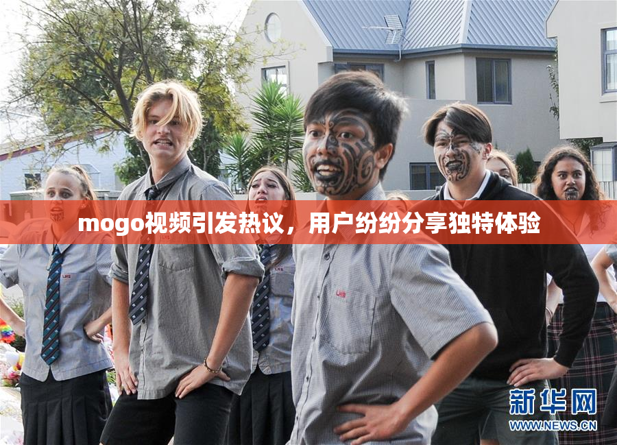 mogo视频引发热议，用户纷纷分享独特体验