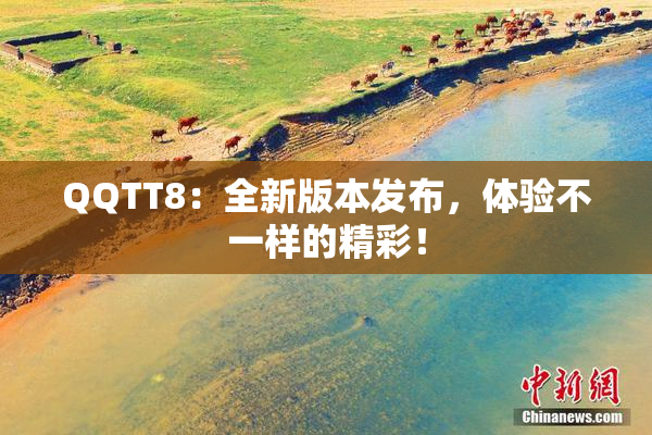 QQTT8：全新版本发布，体验不一样的精彩！