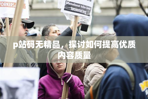 p站码无精品，探讨如何提高优质内容质量